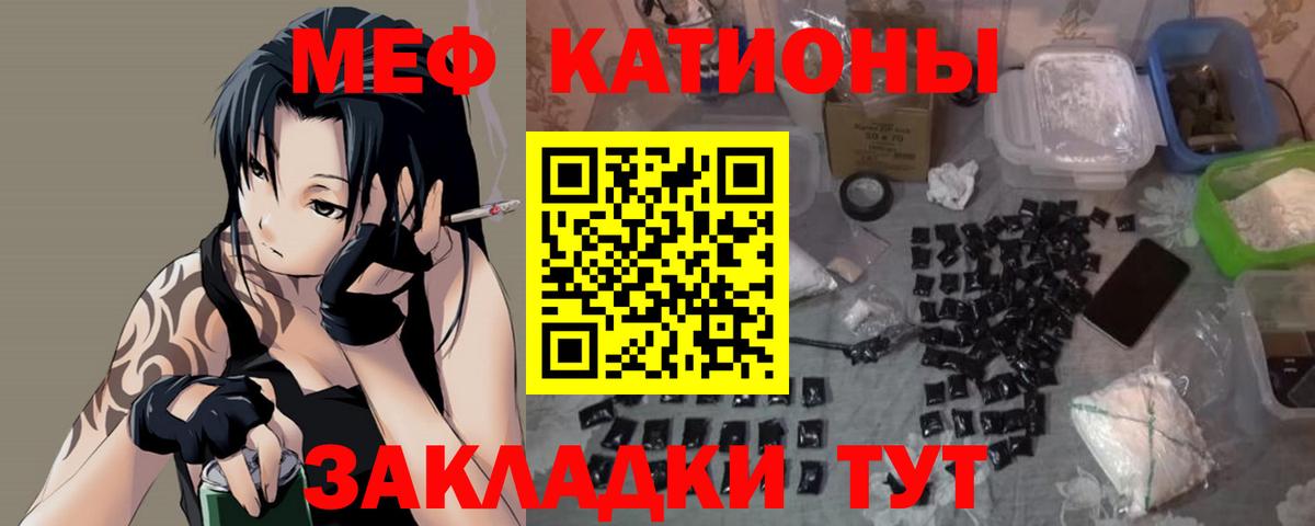 МЕФ  Новозыбков
