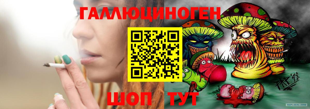 Новозыбков  Псилоцибиновые грибы MAGIC MUSHROOMS  как найти закладки  Вход с VPN 